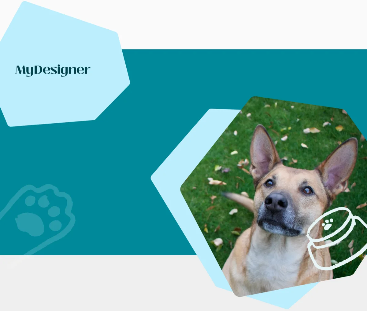 FluentPet — Activity tracking and communication log