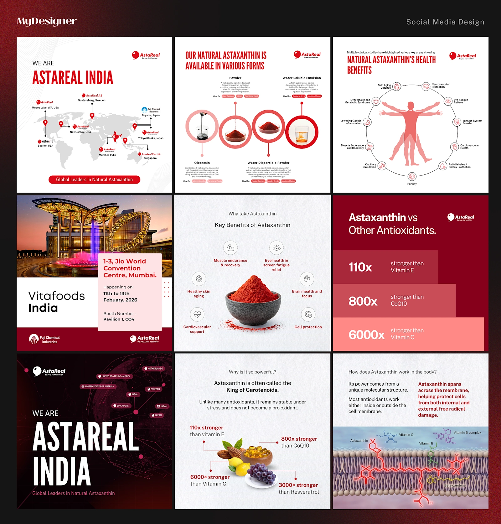 AstaReal — project visual 1