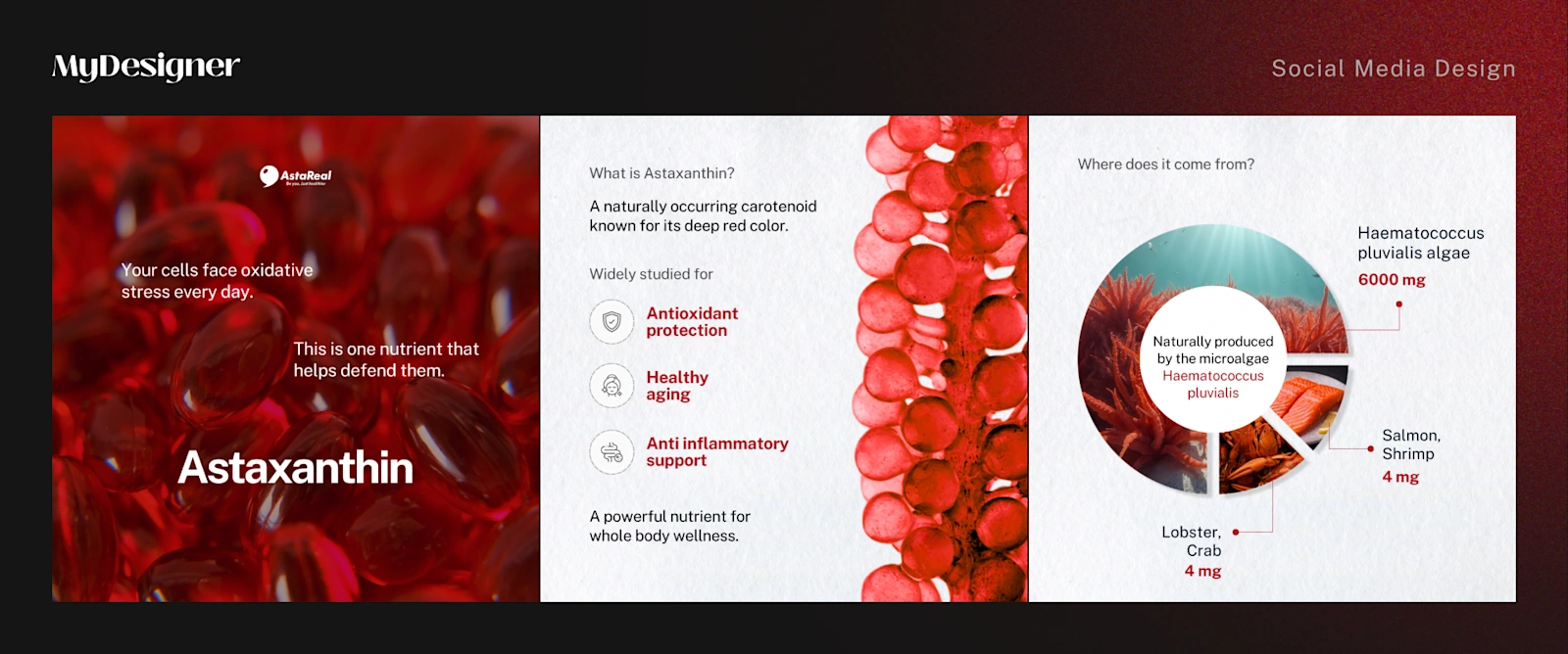 AstaReal — project visual 4