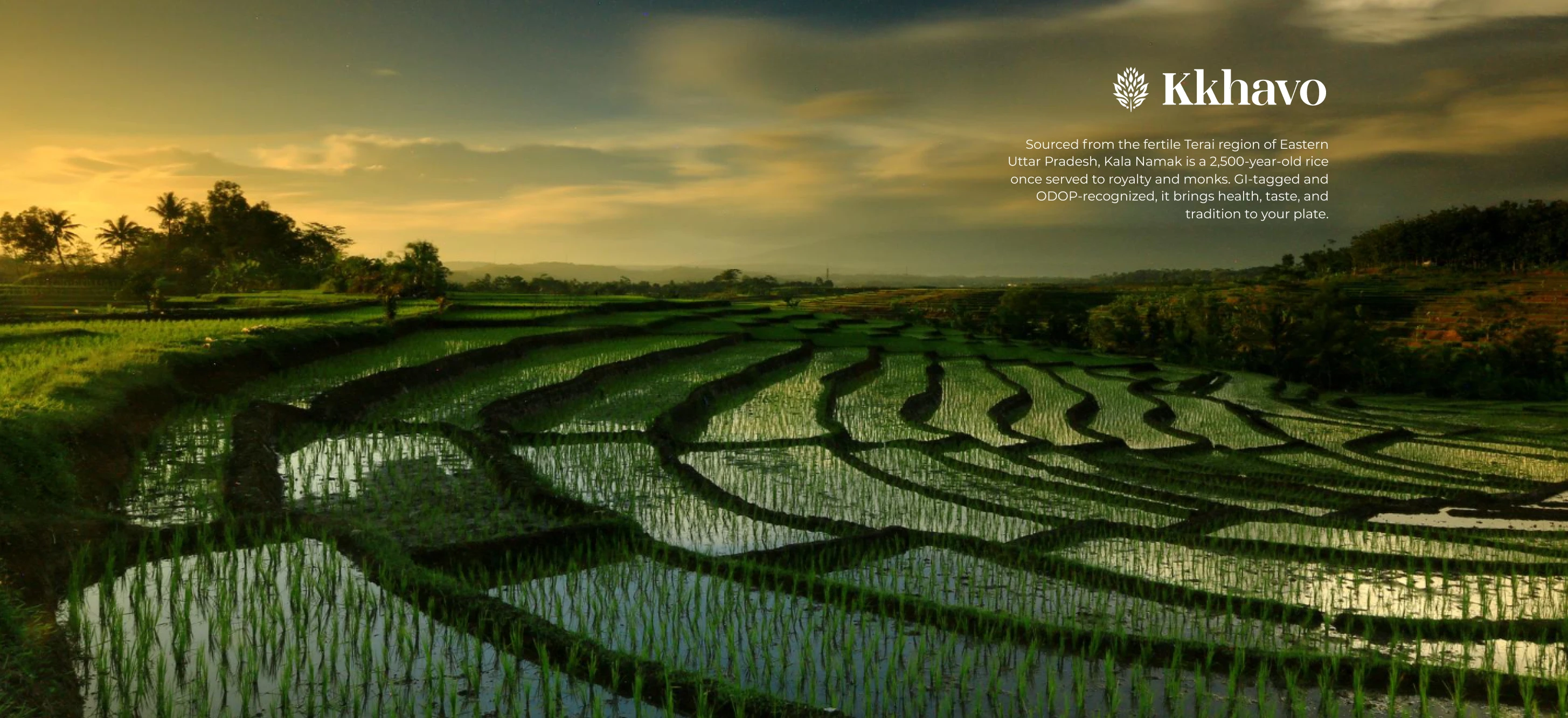 Kkhavo — Immersive landscape hero section